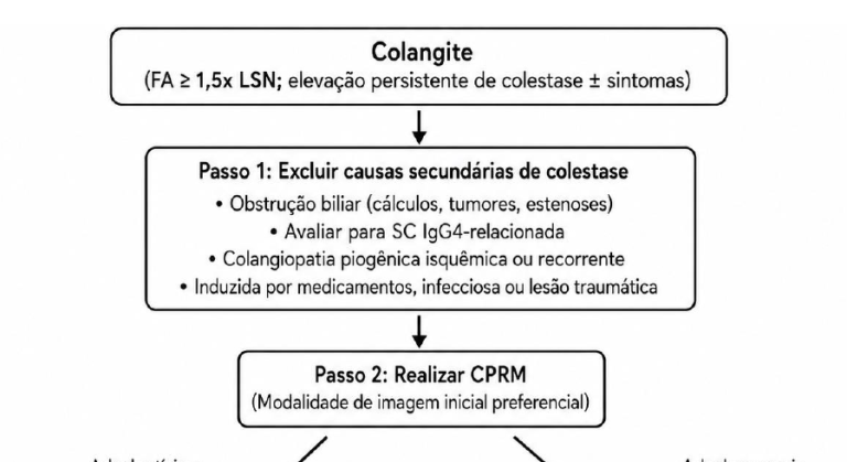 SBH lança Guia Brasileiro de Diagnóstico e Manejo das Doenças Colestáticas